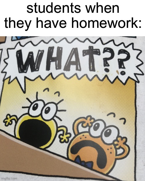 confused frogs | students when they have homework: | image tagged in confused frogs | made w/ Imgflip meme maker