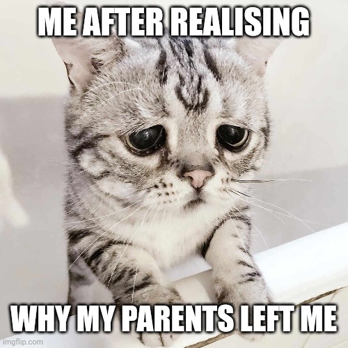 ME AFTER REALISING; WHY MY PARENTS LEFT ME | made w/ Imgflip meme maker