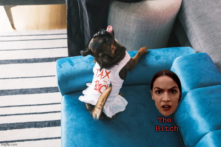 The 
Bitch | image tagged in crazy aoc | made w/ Imgflip meme maker