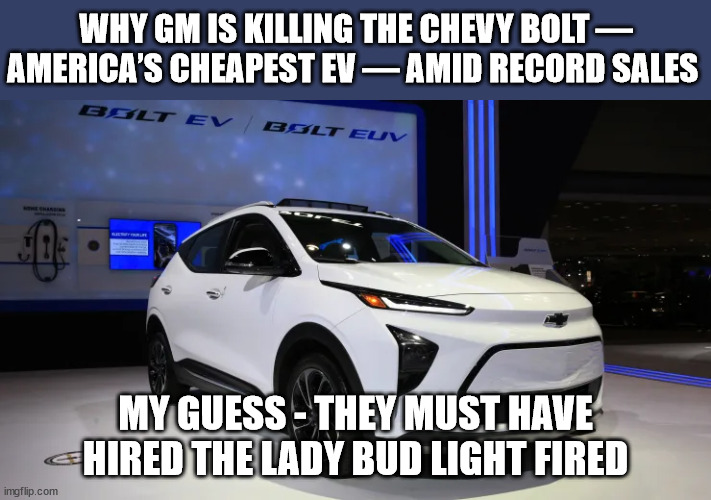 Do Businesses Just Like to Fail? | WHY GM IS KILLING THE CHEVY BOLT — AMERICA’S CHEAPEST EV — AMID RECORD SALES; MY GUESS - THEY MUST HAVE HIRED THE LADY BUD LIGHT FIRED | image tagged in bud light,gm fails | made w/ Imgflip meme maker