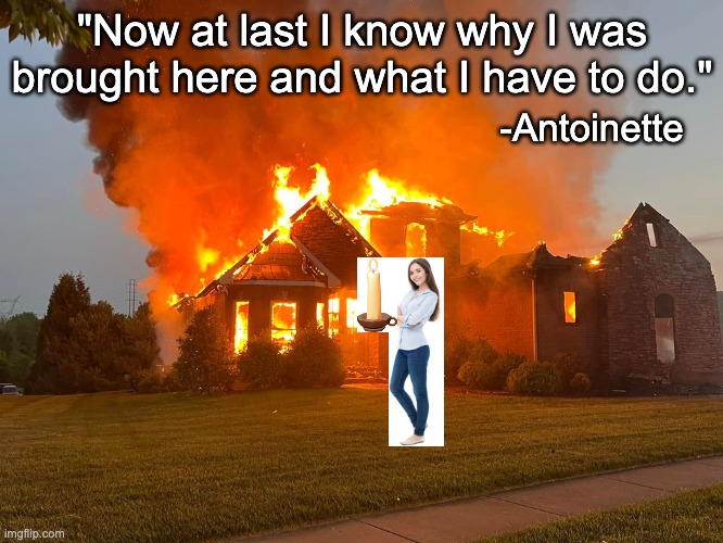 Wide Sargasso Sea, pg. 112 | "Now at last I know why I was brought here and what I have to do."; -Antoinette | image tagged in literature | made w/ Imgflip meme maker