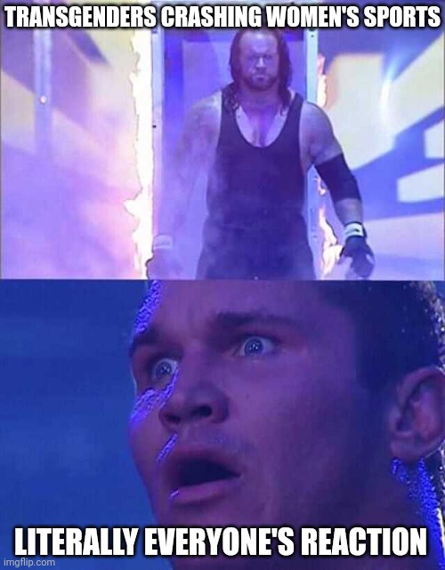 Transgenders need their own league. | TRANSGENDERS CRASHING WOMEN'S SPORTS; LITERALLY EVERYONE'S REACTION | image tagged in randy orton undertaker | made w/ Imgflip meme maker