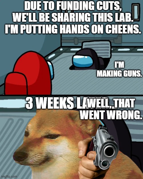 DUE TO FUNDING CUTS, WE'LL BE SHARING THIS LAB.
I'M PUTTING HANDS ON CHEENS. I'M MAKING GUNS. 3 WEEKS LATER... WELL, THAT WENT WRONG. | made w/ Imgflip meme maker