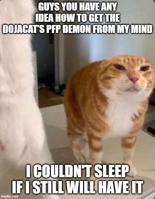 Schizophrenic Cat.pdf | GUYS YOU HAVE ANY IDEA HOW TO GET THE DOJACAT'S PFP DEMON FROM MY MIND; I COULDN'T SLEEP IF I STILL WILL HAVE IT | image tagged in schizophrenic cat pdf | made w/ Imgflip meme maker