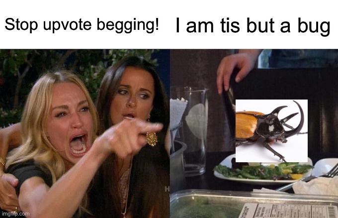 For the hokeewolf challenge (#936) | Stop upvote begging! I am tis but a bug | image tagged in memes,woman yelling at cat,upvote begging,not upvote begging,bugs,challenge | made w/ Imgflip meme maker
