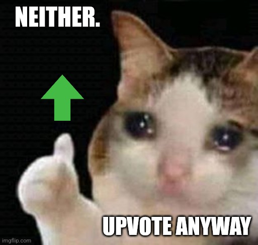 sad thumbs up cat | NEITHER. UPVOTE ANYWAY | image tagged in sad thumbs up cat | made w/ Imgflip meme maker