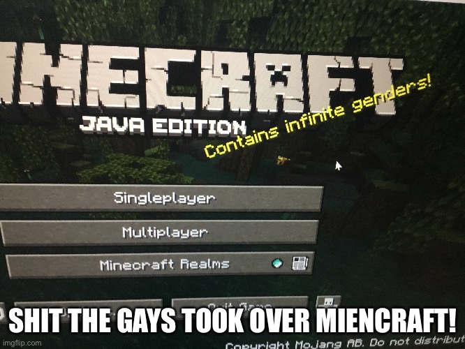 The gays took over mincraft ? | SHIT THE GAYS TOOK OVER MIENCRAFT! | image tagged in minecraft,gays | made w/ Imgflip meme maker