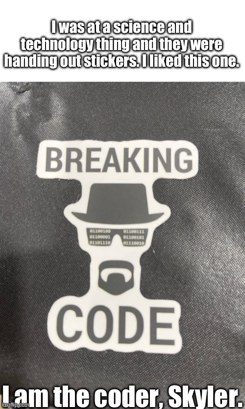 I was at a science and technology thing and they were handing out stickers. I liked this one. I am the coder, Skyler. | made w/ Imgflip meme maker