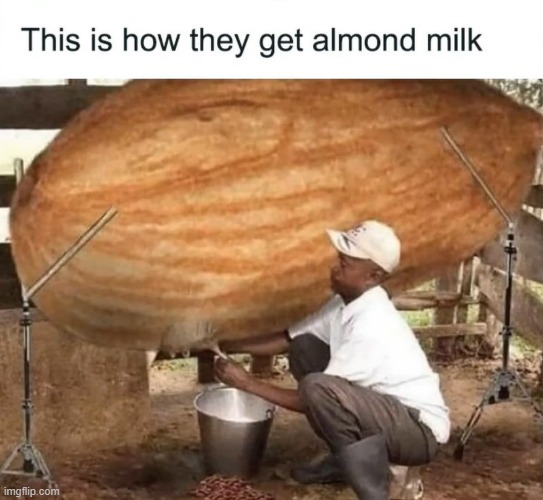 image tagged in almond,almond milk | made w/ Imgflip meme maker