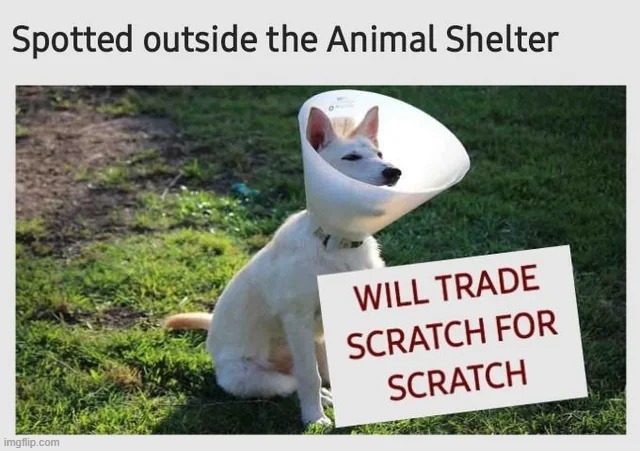 image tagged in memes | made w/ Imgflip meme maker