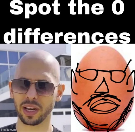 image tagged in memes | made w/ Imgflip meme maker