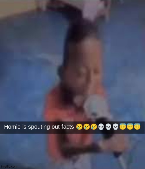 Homie is spouting out facts | image tagged in homie is spouting out facts | made w/ Imgflip meme maker