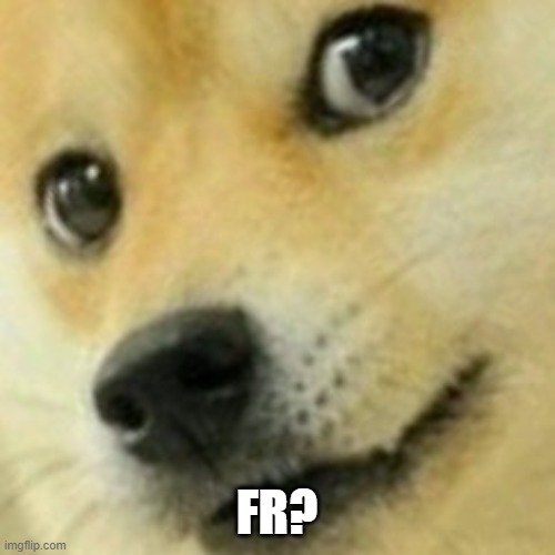 Skeptical Doge | FR? | image tagged in skeptical doge | made w/ Imgflip meme maker