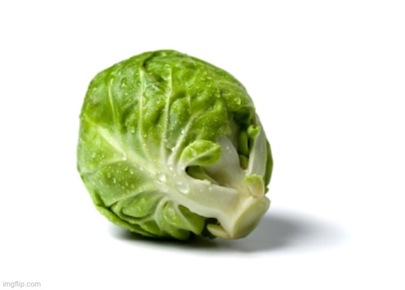 Cabbage Abortion | image tagged in cabbage abortion | made w/ Imgflip meme maker