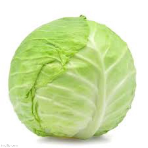 Cabbage | image tagged in cabbage | made w/ Imgflip meme maker
