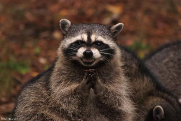 Repost but add your LEAST favourite user | image tagged in evil genius racoon | made w/ Imgflip meme maker