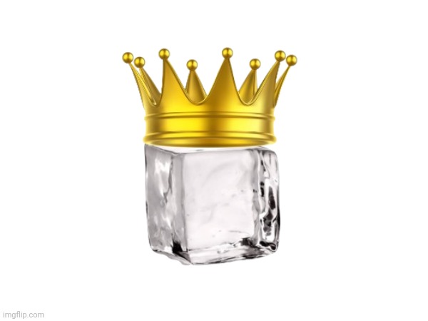 All hail Iceu. | image tagged in iceu | made w/ Imgflip meme maker