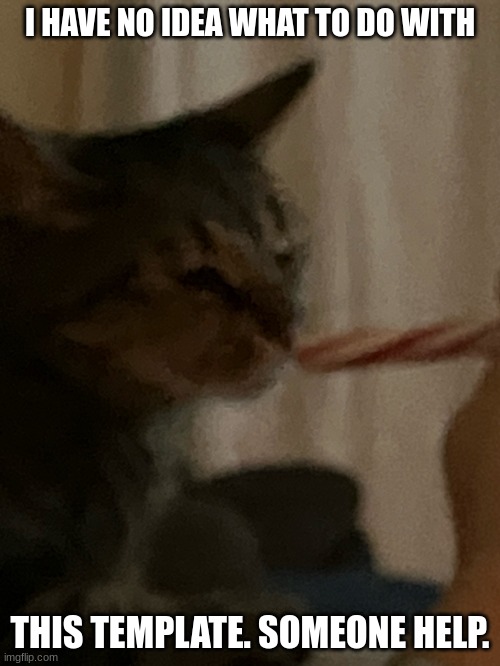 Its the candy cane cat | I HAVE NO IDEA WHAT TO DO WITH; THIS TEMPLATE. SOMEONE HELP. | image tagged in cat-dy cane,candy cane cat,cats,kitty,candy cane,memes | made w/ Imgflip meme maker