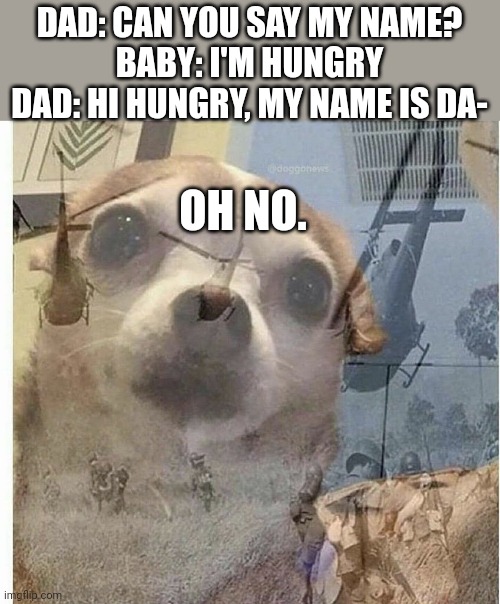 Dad jokes are coming | DAD: CAN YOU SAY MY NAME?
BABY: I'M HUNGRY
DAD: HI HUNGRY, MY NAME IS DA-; OH NO. | image tagged in ptsd chihuahua | made w/ Imgflip meme maker