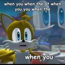High Quality tails when you Blank Meme Template