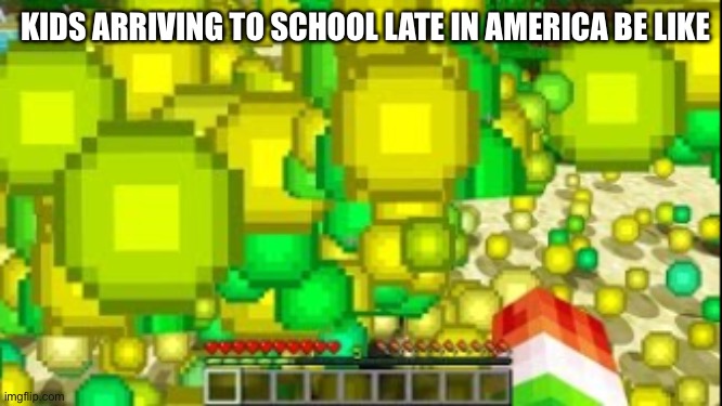 It’s the sad reality of our time. | KIDS ARRIVING TO SCHOOL LATE IN AMERICA BE LIKE | image tagged in minecaft xp,america,relatable,nsfw,school | made w/ Imgflip meme maker