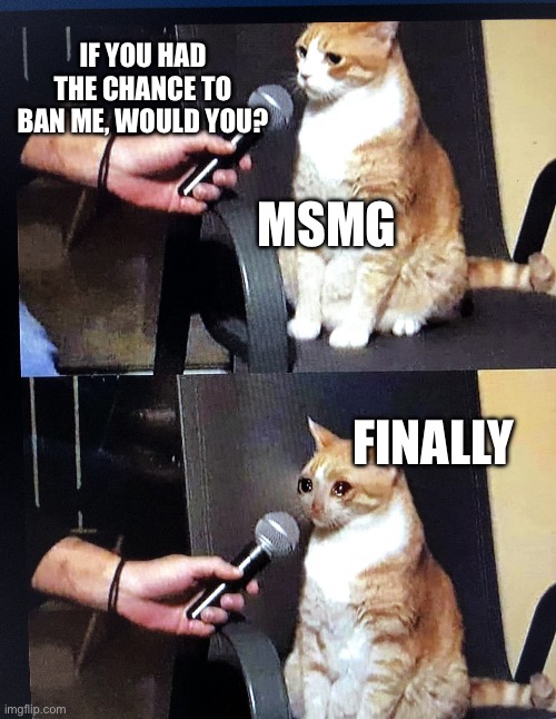 A | IF YOU HAD THE CHANCE TO BAN ME, WOULD YOU? MSMG; FINALLY | image tagged in cat interview crying | made w/ Imgflip meme maker