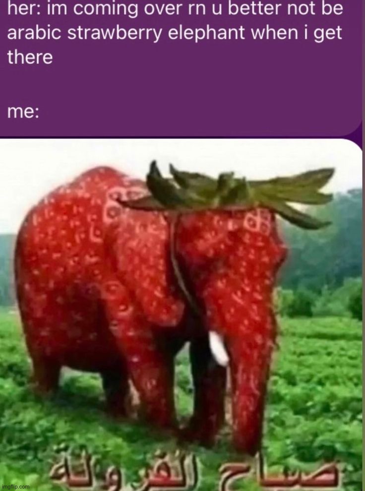 image tagged in memes | made w/ Imgflip meme maker