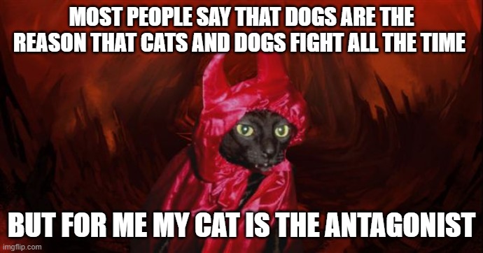 My cat is always pouncing on my dog | MOST PEOPLE SAY THAT DOGS ARE THE REASON THAT CATS AND DOGS FIGHT ALL THE TIME; BUT FOR ME MY CAT IS THE ANTAGONIST | image tagged in devil cat | made w/ Imgflip meme maker