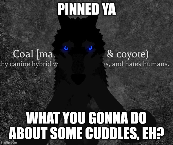 PINNED YA; WHAT YOU GONNA DO ABOUT SOME CUDDLES, EH? | made w/ Imgflip meme maker