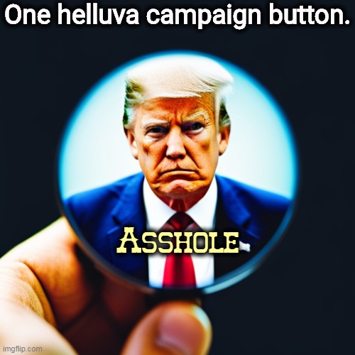 One helluva campaign button. Asshole | image tagged in trump,campaign,button,word | made w/ Imgflip meme maker