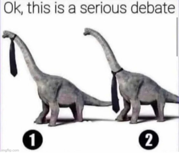 Which one? | made w/ Imgflip meme maker