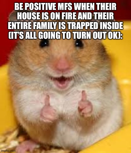 ? | BE POSITIVE MFS WHEN THEIR HOUSE IS ON FIRE AND THEIR ENTIRE FAMILY IS TRAPPED INSIDE (IT’S ALL GOING TO TURN OUT OK): | image tagged in thumbs up hamster | made w/ Imgflip meme maker