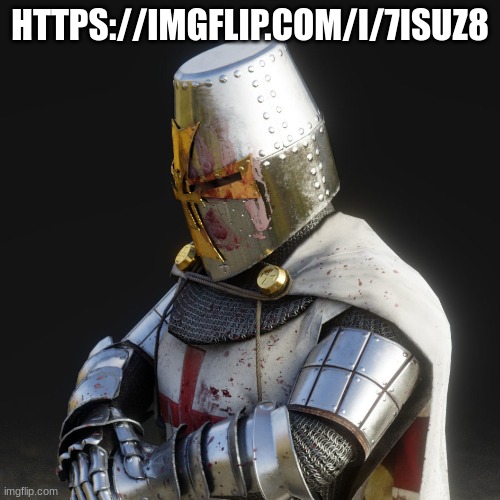 .: I AM NOT TAKING SIDES I AM STILL FOREVER A CRUSADER NO MATTER WHAT:. | HTTPS://IMGFLIP.COM/I/7ISUZ8 | image tagged in paladin,help,please,why are you reading the tags | made w/ Imgflip meme maker