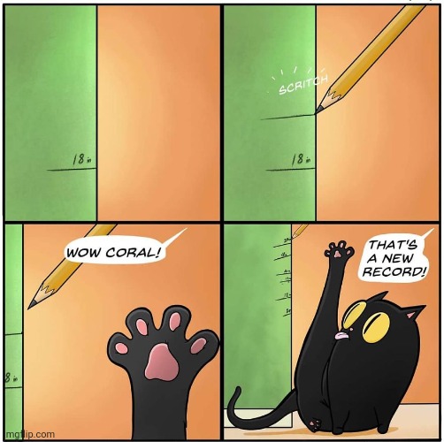 Height | image tagged in height,cats,cat,comics,comic,comics/cartoons | made w/ Imgflip meme maker