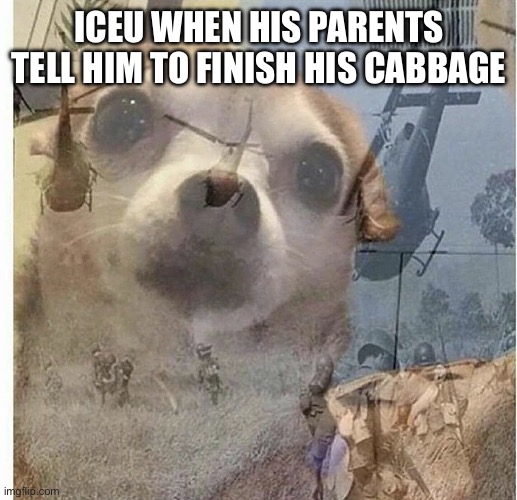 Pretty sure him seeing the tf2 pyro thing didn’t rlly help him either lmao | ICEU WHEN HIS PARENTS TELL HIM TO FINISH HIS CABBAGE | image tagged in ptsd chihuahua | made w/ Imgflip meme maker