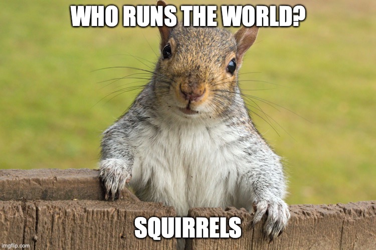 Squirrel Song Pun | WHO RUNS THE WORLD? SQUIRRELS | image tagged in advice giving squirrel | made w/ Imgflip meme maker