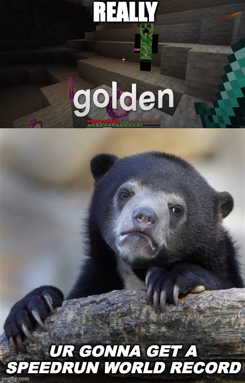goLdEN aPplEs (wOrlD rECOrd) | REALLY; UR GONNA GET A SPEEDRUN WORLD RECORD | image tagged in memes,confession bear | made w/ Imgflip meme maker
