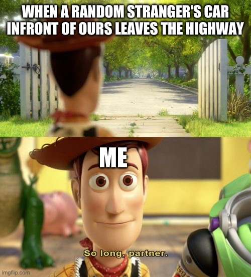 It's sad man... | WHEN A RANDOM STRANGER'S CAR INFRONT OF OURS LEAVES THE HIGHWAY; ME | image tagged in so long partner | made w/ Imgflip meme maker