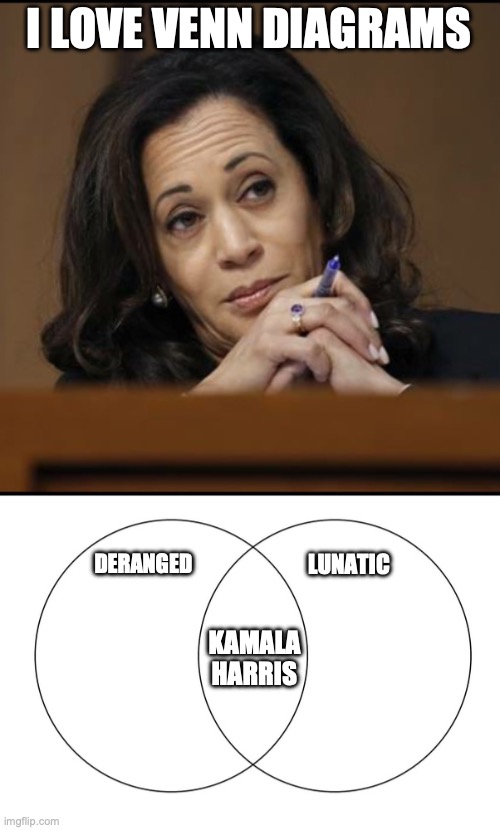 Venn Diagram for Kamala Harris | I LOVE VENN DIAGRAMS; DERANGED; LUNATIC; KAMALA HARRIS | image tagged in kamala harris,venn diagram | made w/ Imgflip meme maker