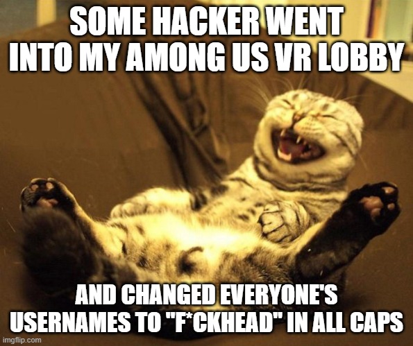 Hackers Gonna Hack! | SOME HACKER WENT INTO MY AMONG US VR LOBBY; AND CHANGED EVERYONE'S USERNAMES TO "F*CKHEAD" IN ALL CAPS | image tagged in laughing cat,among us,hacker,funny,lmao | made w/ Imgflip meme maker