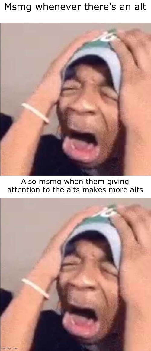 Msmg whenever there’s an alt; Also msmg when them giving attention to the alts makes more alts | image tagged in flightreacts crying | made w/ Imgflip meme maker