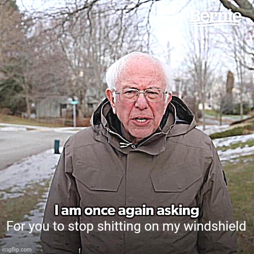 Bernie I Am Once Again Asking For Your Support Meme | For you to stop shitting on my windshield | image tagged in memes,bernie i am once again asking for your support | made w/ Imgflip meme maker