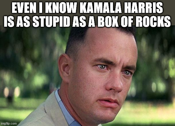 Stupid is as Stupid Laughs | EVEN I KNOW KAMALA HARRIS IS AS STUPID AS A BOX OF ROCKS | image tagged in gump,mtr602,the rip | made w/ Imgflip meme maker