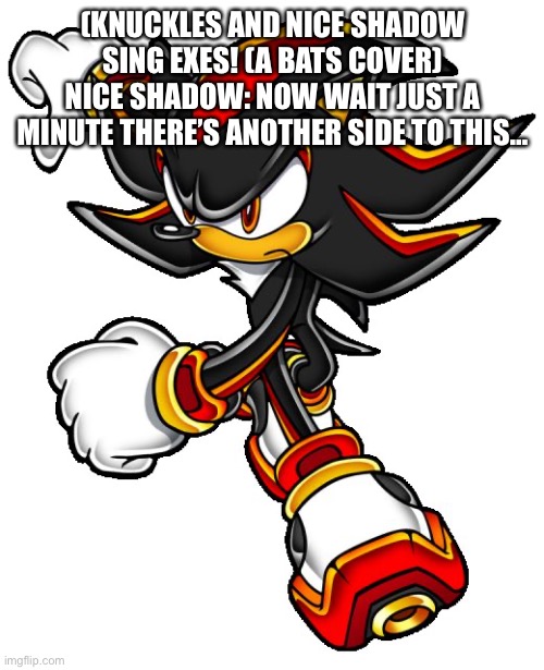 Exes! | (KNUCKLES AND NICE SHADOW SING EXES! (A BATS COVER) NICE SHADOW: NOW WAIT JUST A MINUTE THERE’S ANOTHER SIDE TO THIS… | image tagged in shadow the hedgehog,sonic exe | made w/ Imgflip meme maker