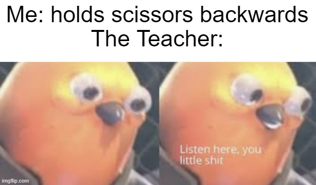 Listen here you little shit bird | Me: holds scissors backwards
The Teacher: | image tagged in funny,memes,listen here you little shit bird,listen here you little shit,fun,school | made w/ Imgflip meme maker