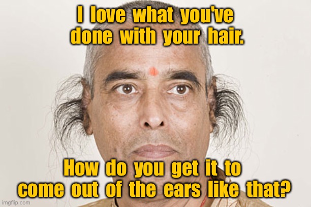 Nice hair do | I  love  what  you've  done  with  your  hair. How  do  you  get  it  to  come  out  of  the  ears  like  that? | image tagged in hair in the ears,how do you manage,to grow it,from your ears | made w/ Imgflip meme maker