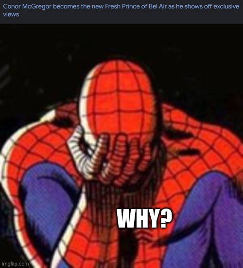 That will ruin the show entirely | WHY? | image tagged in memes,sad spiderman,you had one job | made w/ Imgflip meme maker