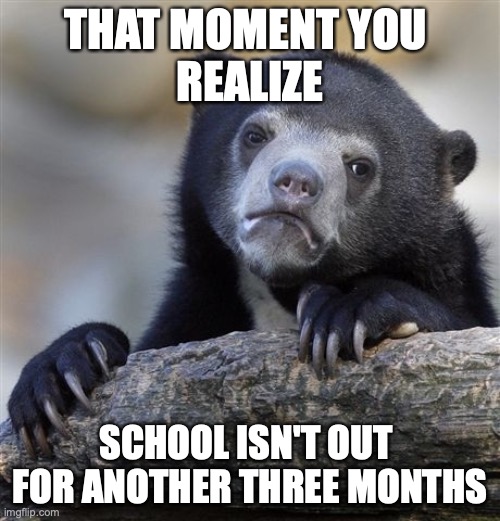 Confession Bear Meme | THAT MOMENT YOU 
REALIZE; SCHOOL ISN'T OUT 
FOR ANOTHER THREE MONTHS | image tagged in memes,confession bear | made w/ Imgflip meme maker
