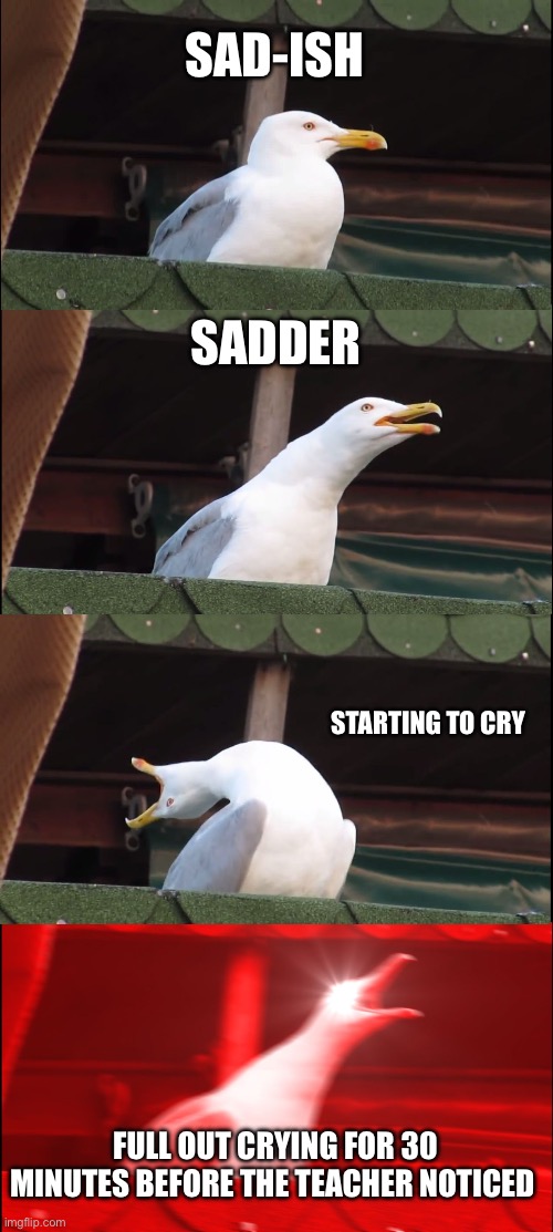 Crying at school be like | SAD-ISH; SADDER; STARTING TO CRY; FULL OUT CRYING FOR 30 MINUTES BEFORE THE TEACHER NOTICED | image tagged in memes,inhaling seagull | made w/ Imgflip meme maker