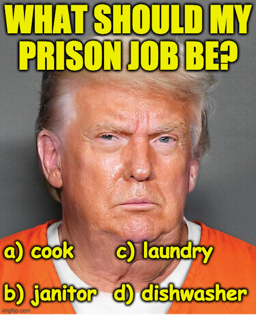 He'll have to learn on the job. | WHAT SHOULD MY
PRISON JOB BE? a) cook     c) laundry
 
b) janitor  d) dishwasher | image tagged in memes,trump,prison | made w/ Imgflip meme maker
